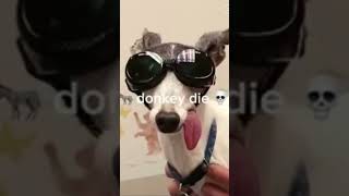 INKY PINKY PONKY✨✨ #ias #cute #dog #shortvideo #memes