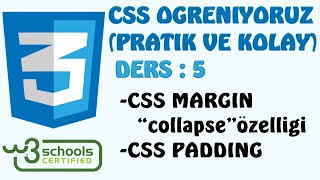 CSS Margin - Padding Özellikler / CSS'in Muhteşem Üçlüsü / #5