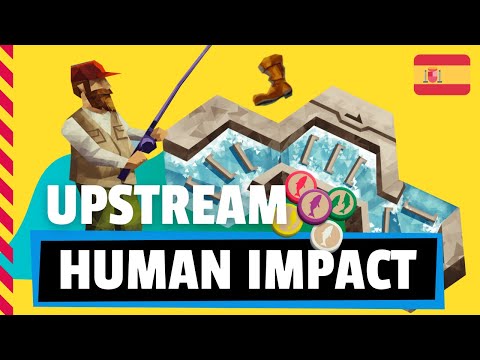 UPSTREAM HUMAN IMPACT Expansión - Juego de mesa / Reseña /Tutorial (Español)