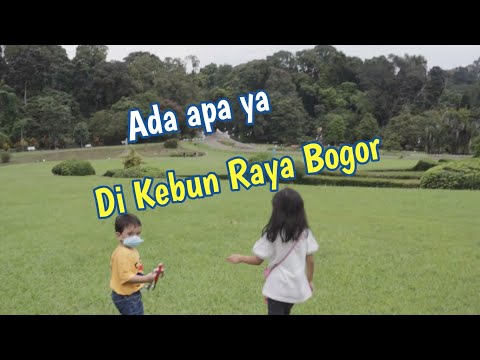 Tamasya ke Kebun Raya Bogor