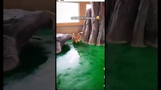 The world changes #funny #dangerous #lifefails