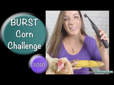A dental hygienist, her chicken, some corn and the BURST Toothbrush Challenge with a discount code