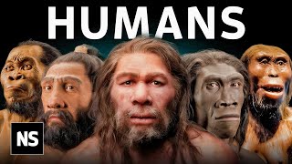 Everything We Know About Our Human Origins