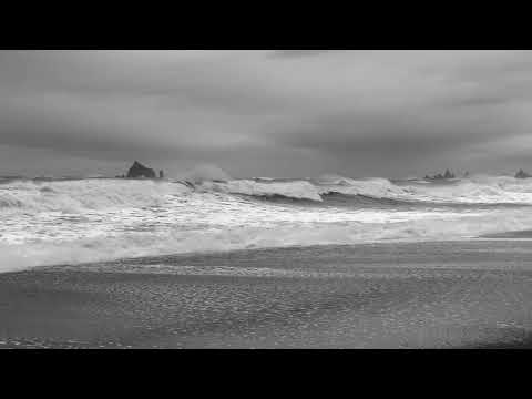 Rialto Beach, Wa State Oct 3rd 2021