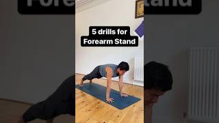 Best drills for Forearm stand 🔥 #pinchamayurasana #bodyweightworkout #yogapractice