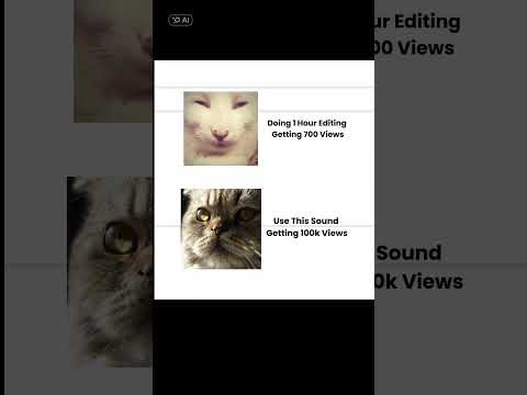 #shorts #foryou #cat #sadcat #cutecat #trending #trend