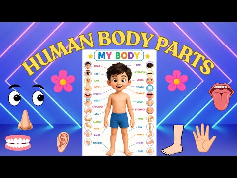 Body parts name | Parts of body | Human body parts name for kids | kids learning world