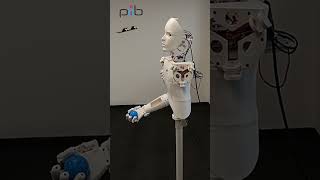 pib catches a ball! #3dprinted #diyrobot #humanoidrobot