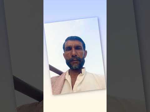 Lahore fans, #music #song #punjabisong #comedy #funnyreel #funny #funnyvideo #fun #desicomedy
