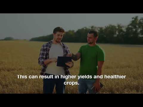 AI and Agriculture: Improving Crop Yields with Technology