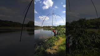 nangkap ikan di sungai #mancing #jaring #fishing #menjaring #mancingmania