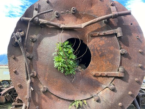 Steam Locomotive Rescued from Skagway River, and Other Trip Highlights