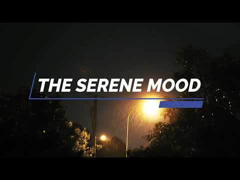 Quran For Working, Studying, Relaxing and Insomnia | Rain and Thunder Sounds | Lo-Fi Themed |