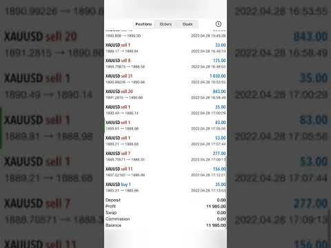 Forex account management and Signals. Results showed were done in 24 hours in 3 different account