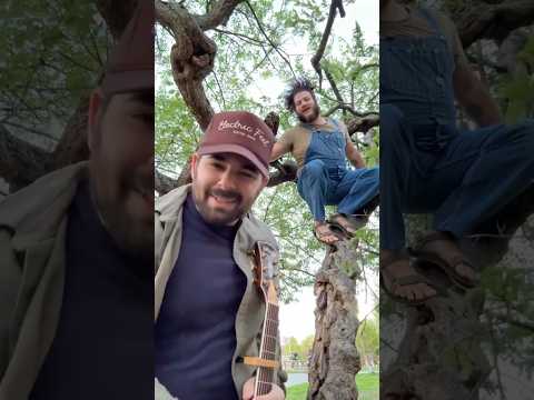 Why does nobody climb trees anymore? #newmusic #latenightthoughts #oldestiveeverfelt