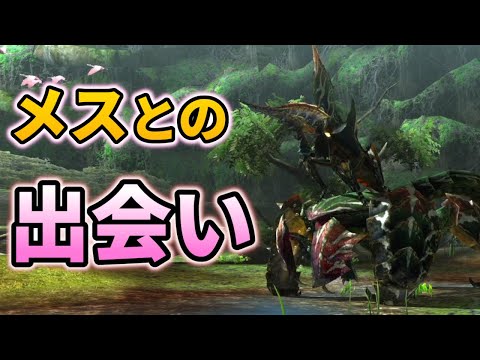 【生態解説】飛翔するアルセルタス、突然呼び出しを食らう【モンハン】