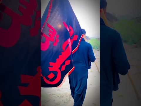 Salam Ya Hussain #hussaini #salamyahusain #muharramstatus #alimola