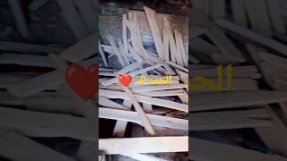 Thanks almighty Allah❤️ #today_vibes #shorts #YouTubeshort #ytshort#bestvideo #new_viral_video#viral