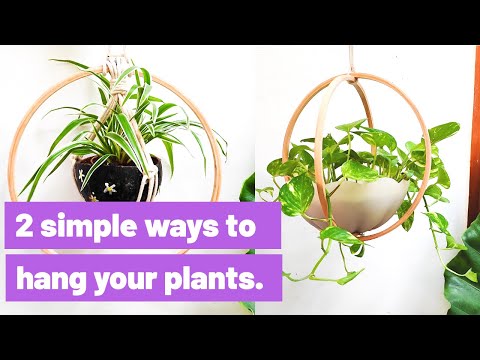 2 simple ideas to hang your plants