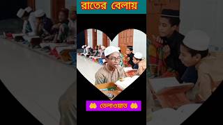 ঈমানের পাখিরা রাতের বেলায় তেলাওয়াত করছে #ইসলামিক_ভিডিও#subscribe #viralvideo #shortvideo #shorts