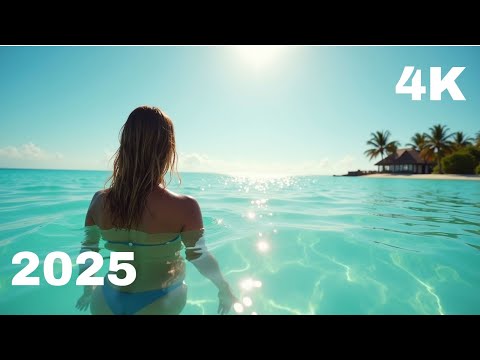Sunset Paradise. "SONG OF SUMMER 2025-2026.. enjoy...!!! 
