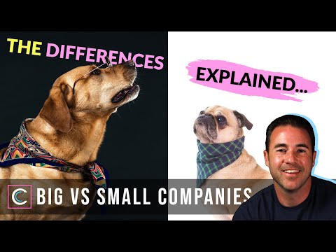 Should I Work for a Small or Large Company?