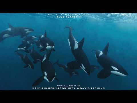"The Blue Planet" - Music from the BBC Earth series "Blue Planet II"