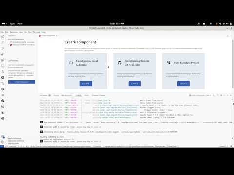 From scratch to Camel debug a Camel Spring Boot route deployed on OpenShift from VS Code - Oct 2024