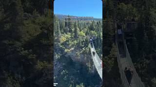 Skagway Suspension Bridge: A POV Over the River and Pines