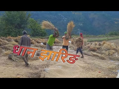 Dhan Jharne Mela