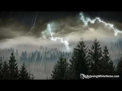 10 Hours Rain & Thunder -  Rainstorm Sounds for Sleep, Studying or Relaxation -  Nature White Noise