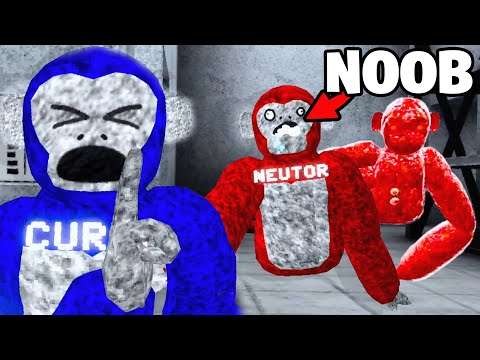 I Taught A Noob How To Play Scary Baboon…
