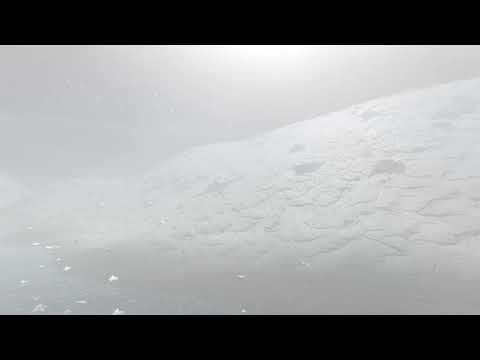 Born Of The Wild: Primeval Tundra Fly Through