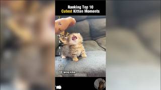 2025 September Cat Ranking Combinations