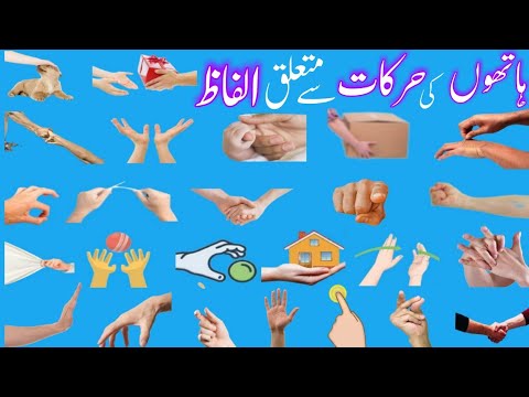 Hand Movement and Actions in English and Urdu with Pictures | Hand Motions | GK with Ali