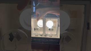 WATCH how the WINDOW FILM block ultraviolet (UV) rays! #uv #uvrays #experiment #windows #windowfilm