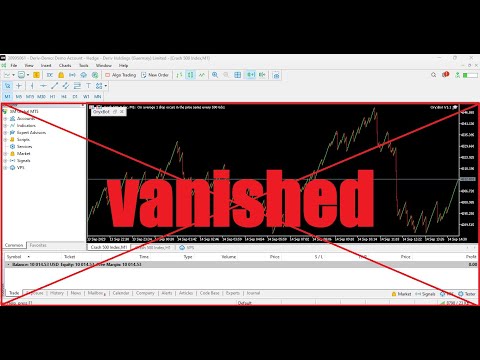 What should you do in the event that everything within MetaTrader has disappeared