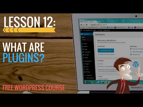 WordPress Training - Lesson 12: What are Plugins?