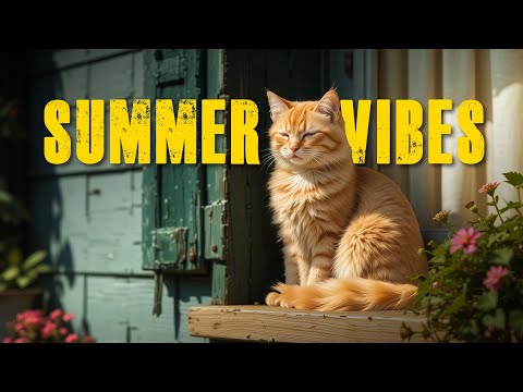 Lofi Jazz & Neo-Soul Mix – Chill Summer Vibes for Focus & Relaxation