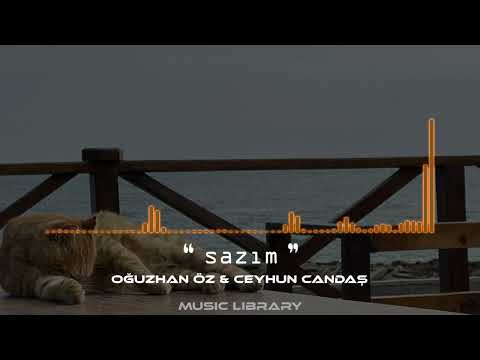 Sazım ( duet ) #instrumental #bağlama #türkü #windinstrument #turkishmusic