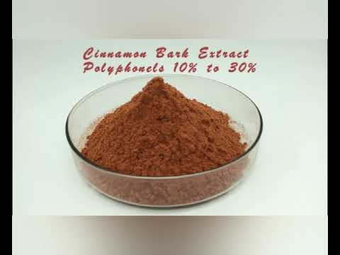 Water Solubility Test of Cinnamon Bark Extract
