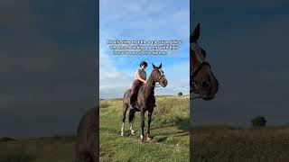 Fingers crossed! #equestrian #equine #horseriding #hackingout