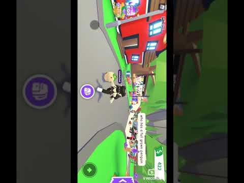 new PET!?😲