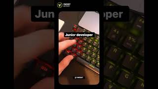 Project Saving Method of Junior Dev Vs Senior Devs | VMSOIT.