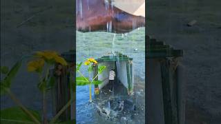 Amazing videography idea tricks 👀💡#shortvideo #funny #shorts