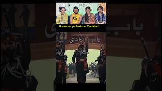 Goosebumps Pakistan Zindabad 🔥#pakistan #reactpro #reaction