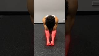 The Only Forearm Stand Guide You Will Ever Need