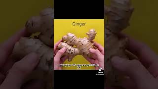 HACK FOR PLANTING || USEFUL HACKS || SHORT HACKS|| LIFE HACKS