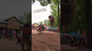 I met a young therian at Ren Fest! @Scotch2484 and @Mills-editor { #quadrobics #therian }