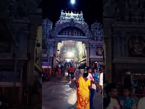 #madurai #shorts #meenakshiammantemple